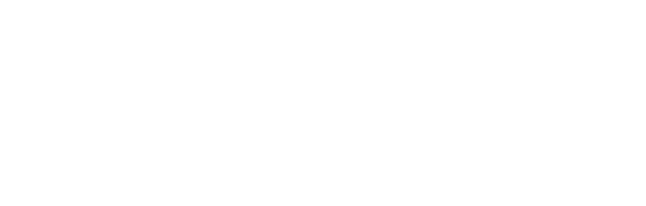 Vórtex IA